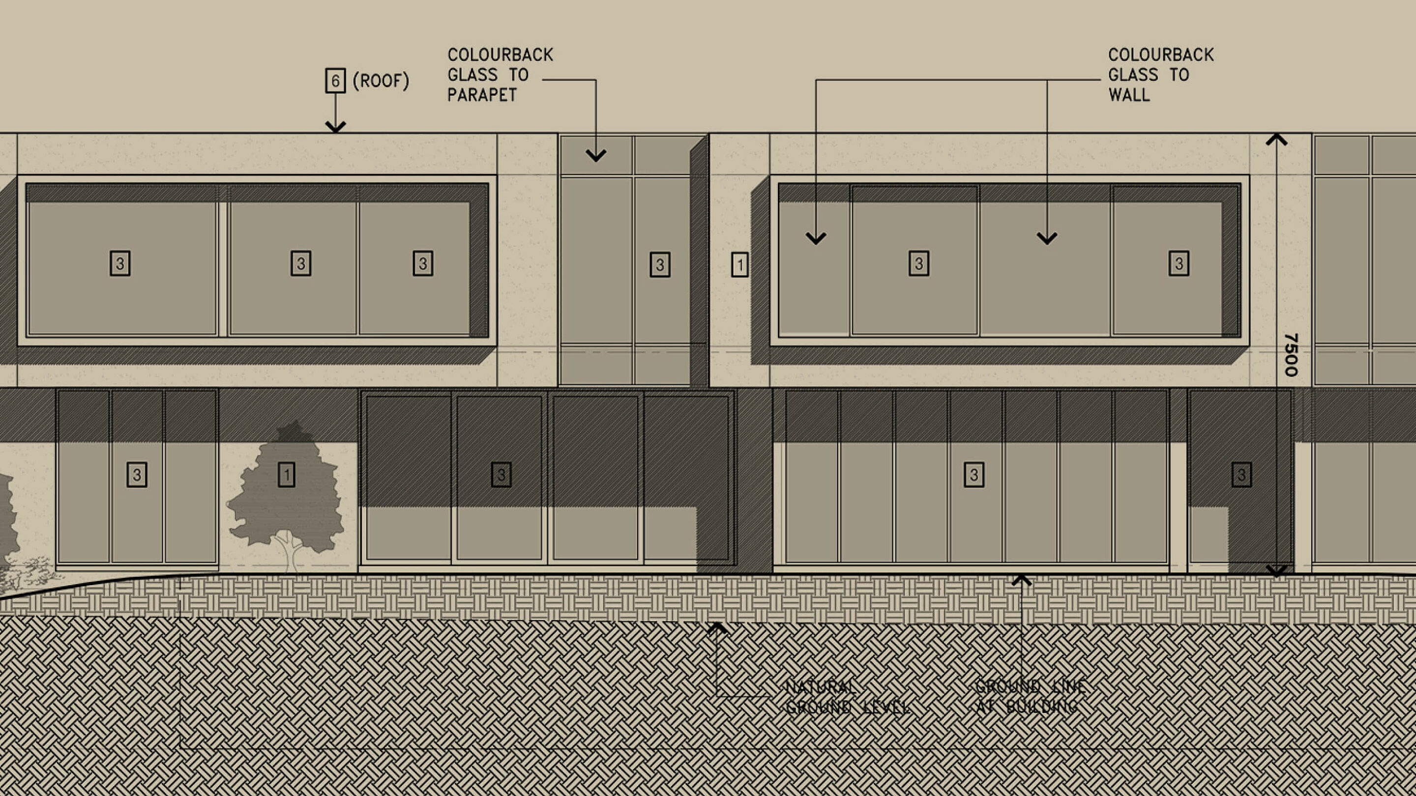 TP Revision D Mc Donald Avenue 4 overlay 3000px