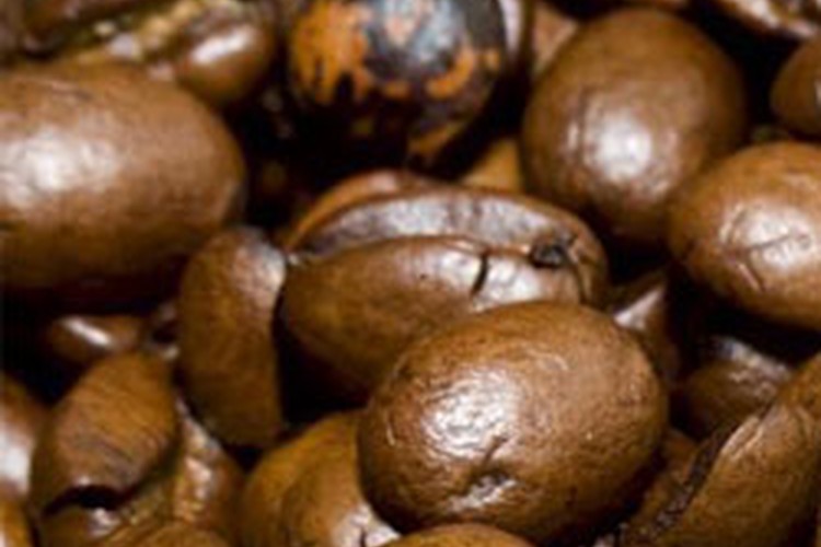 Three Valleys Coffee at Teven, NSW