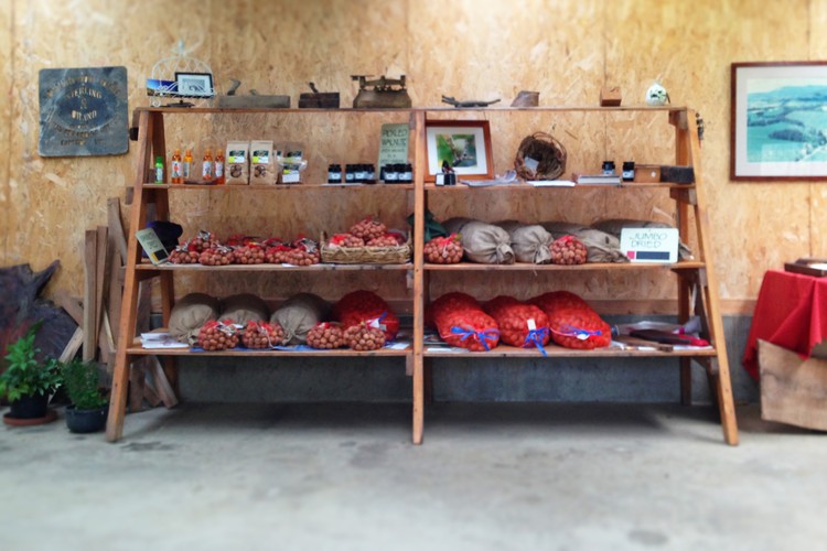 Valley Nut Groves at Gapsted, Victoria