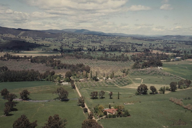 Valley Nut Groves at Gapsted, Victoria