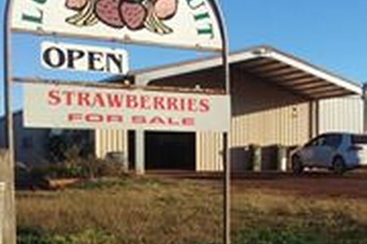 Luscious Fruit in Bundaberg, Queensland