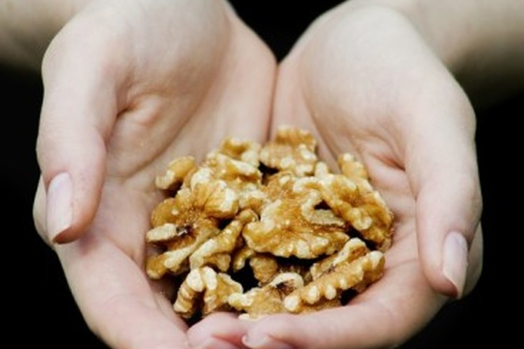 Valley Nut Groves at Gapsted, Victoria