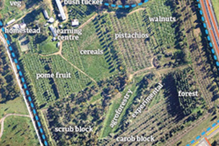 The Food Forest in Gawler, South Australia