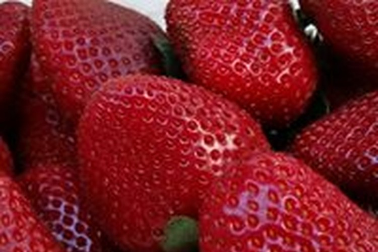 Luscious Fruit in Bundaberg, Queensland