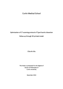Item - Optimization of CT scanning protocol of Type B aortic dissection ...