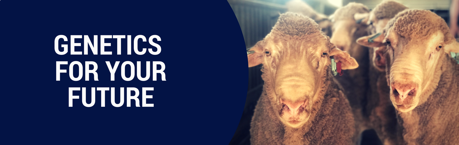 Genetics for your future