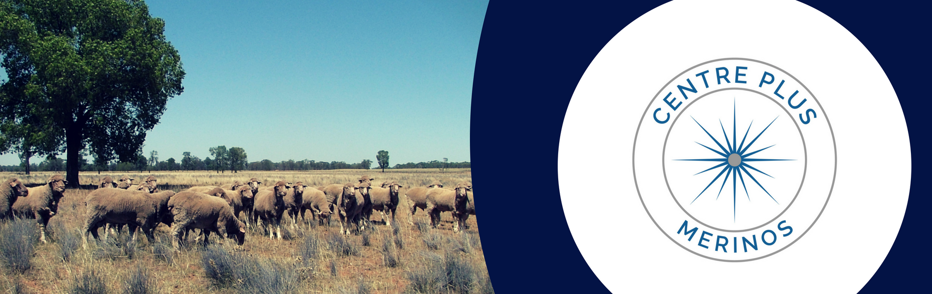 Centre Plus