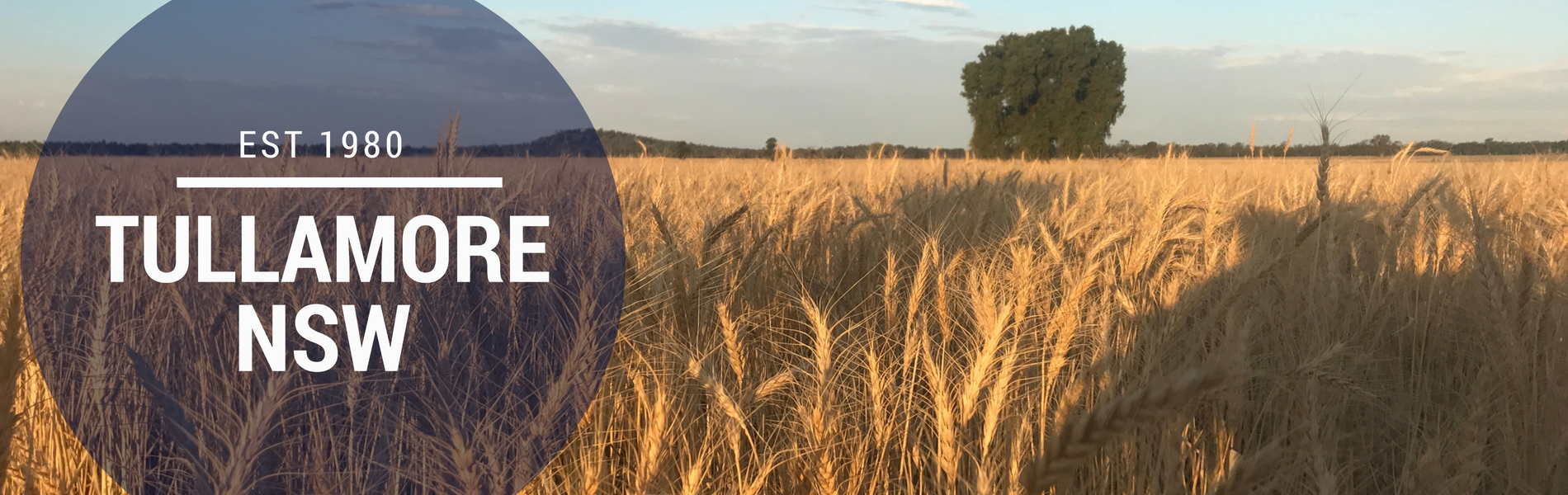 Tullamore NSW