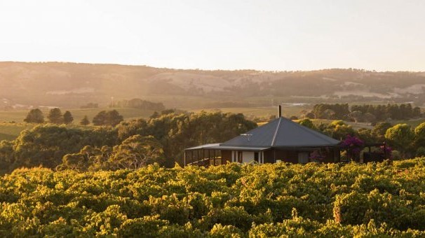 View over the vineyard retreat, McLaren Vale