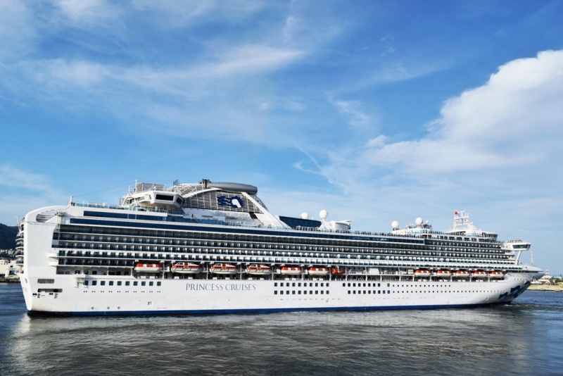 The Diamond Princess will be one of nine ships to offer all the World Cup matches.