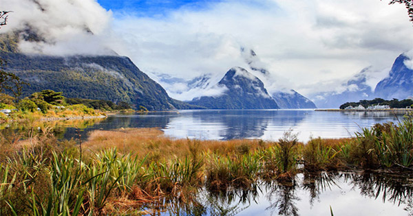 New Zealand cruising