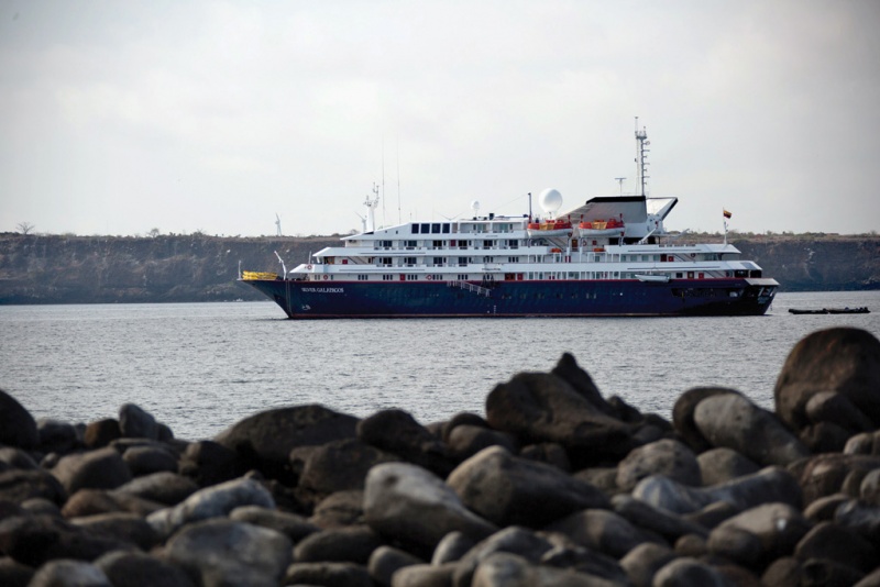 Silver Galapagos