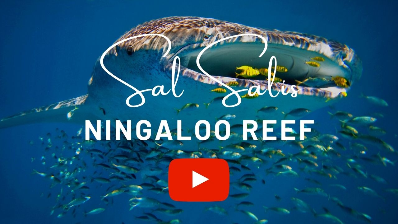 Sal Salis, Ningaloo Reef