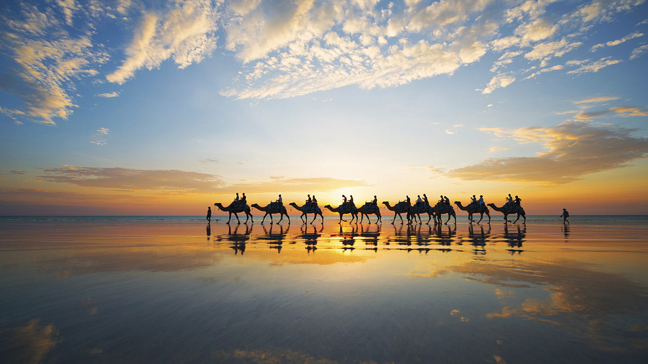 Camels at sunset on Cable Beach, Broome