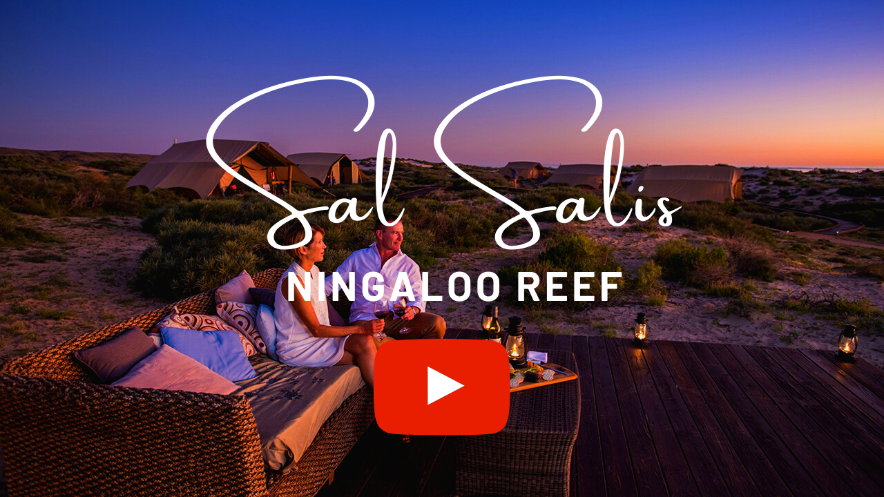 Sal-salis-ningaloo-reef-wa