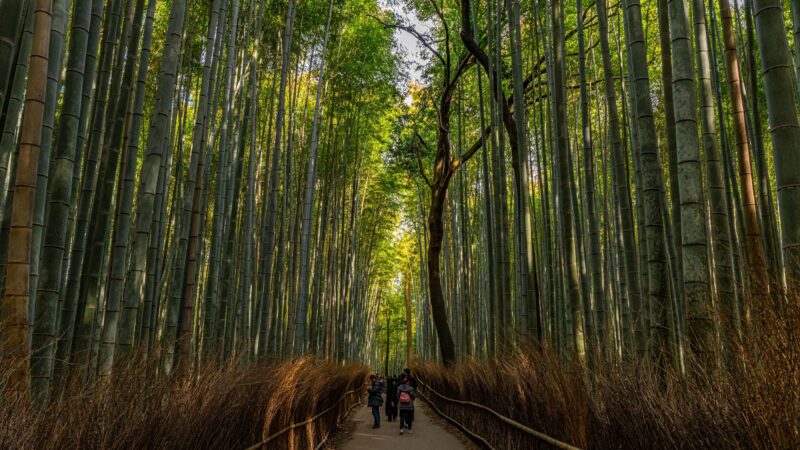 Kyoto by Deposit