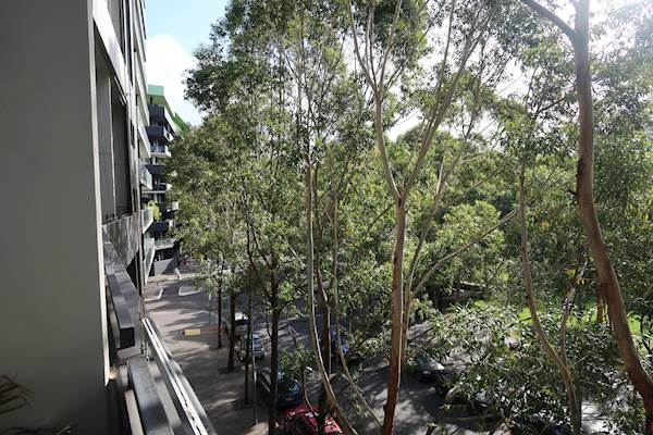 House Share Zetland Sydney 275pw 2 Bedroom Apartment