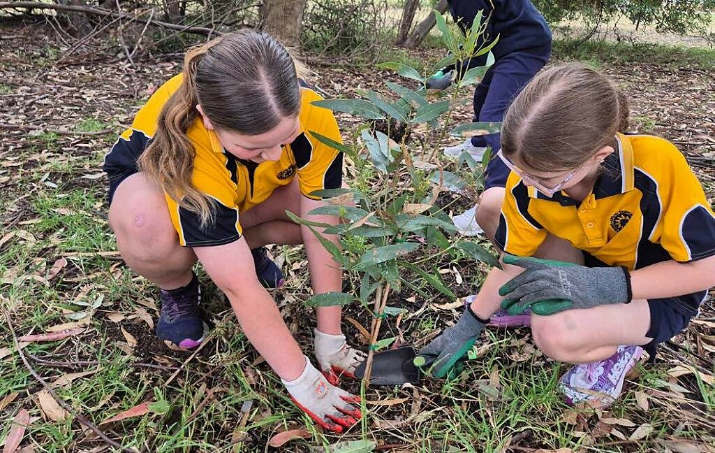 Habitats for Wildlife 2025