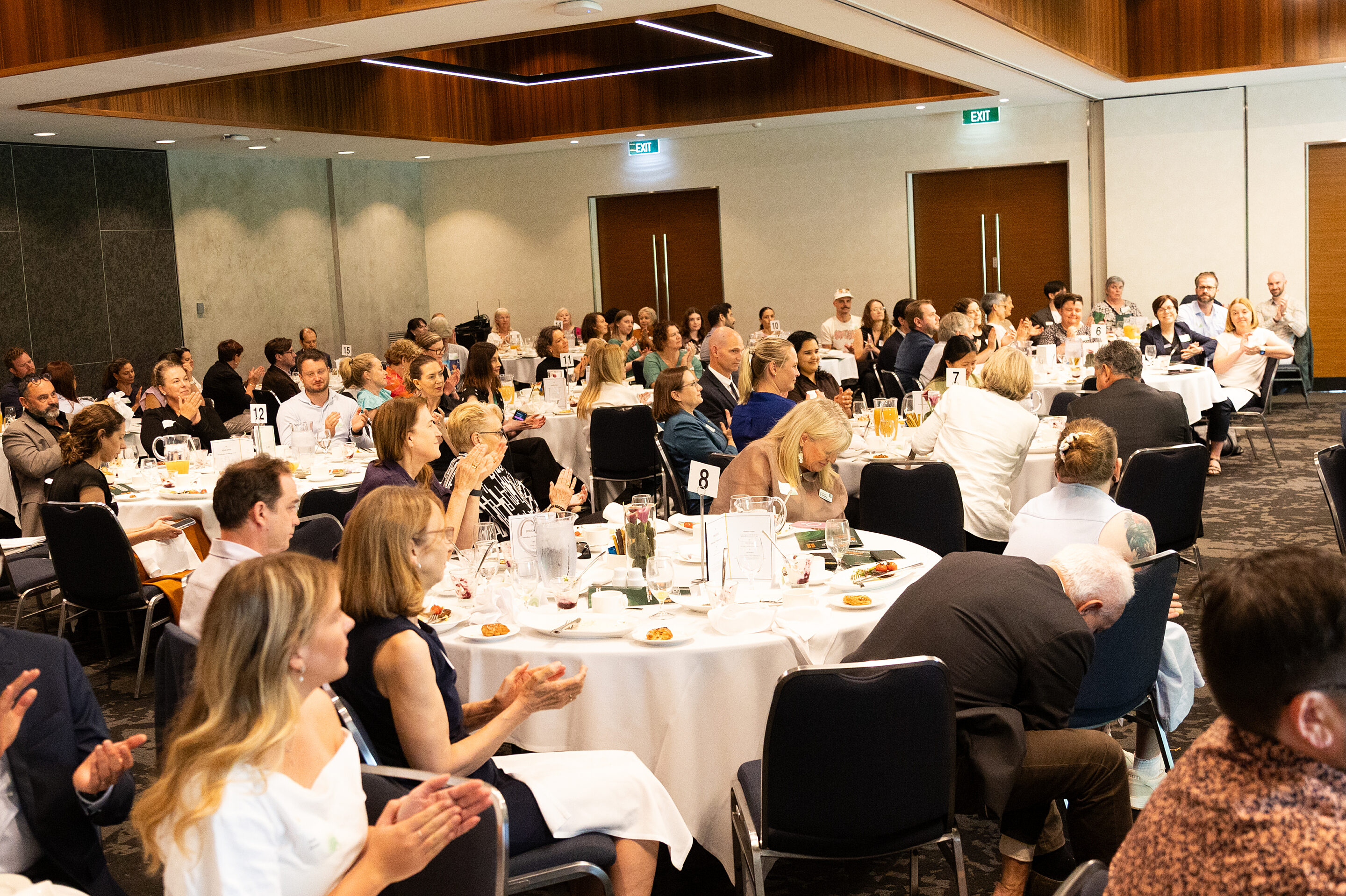 MTP Fogarty 11 2 26 135