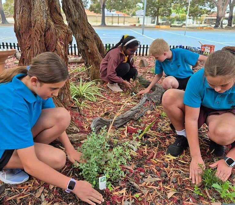 Habitats for Wildlife 2025 3