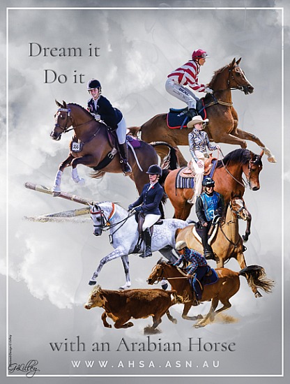 Horse Advertisements 