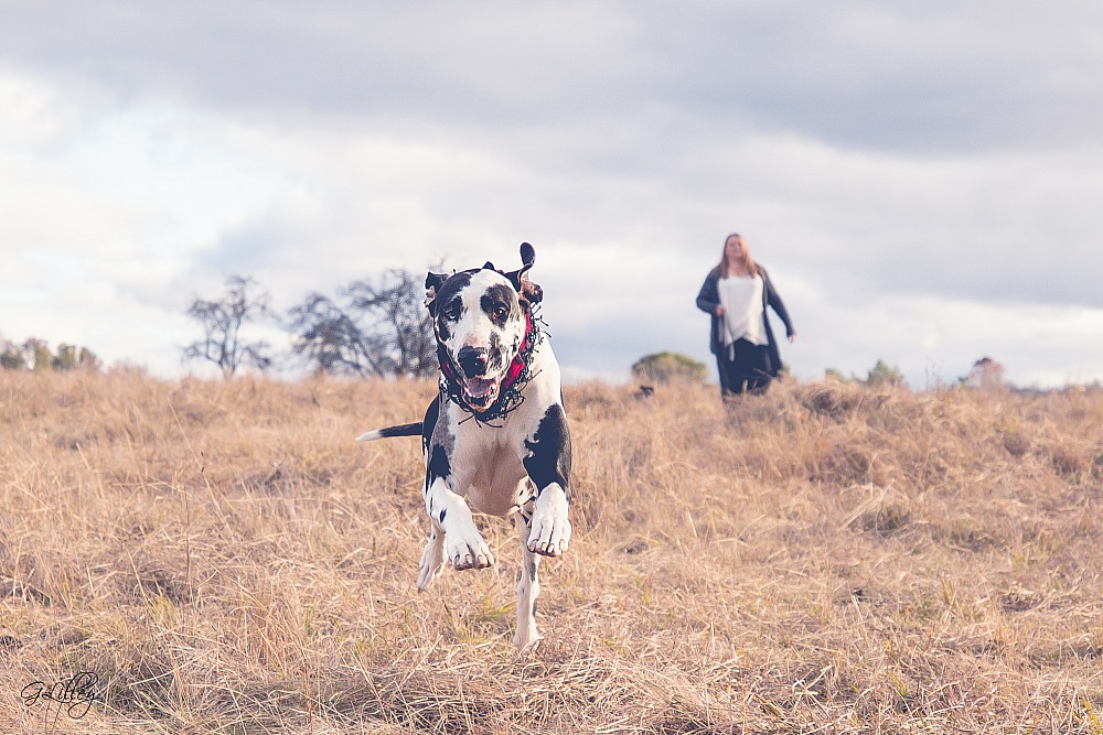 Lifestyle Photo Session