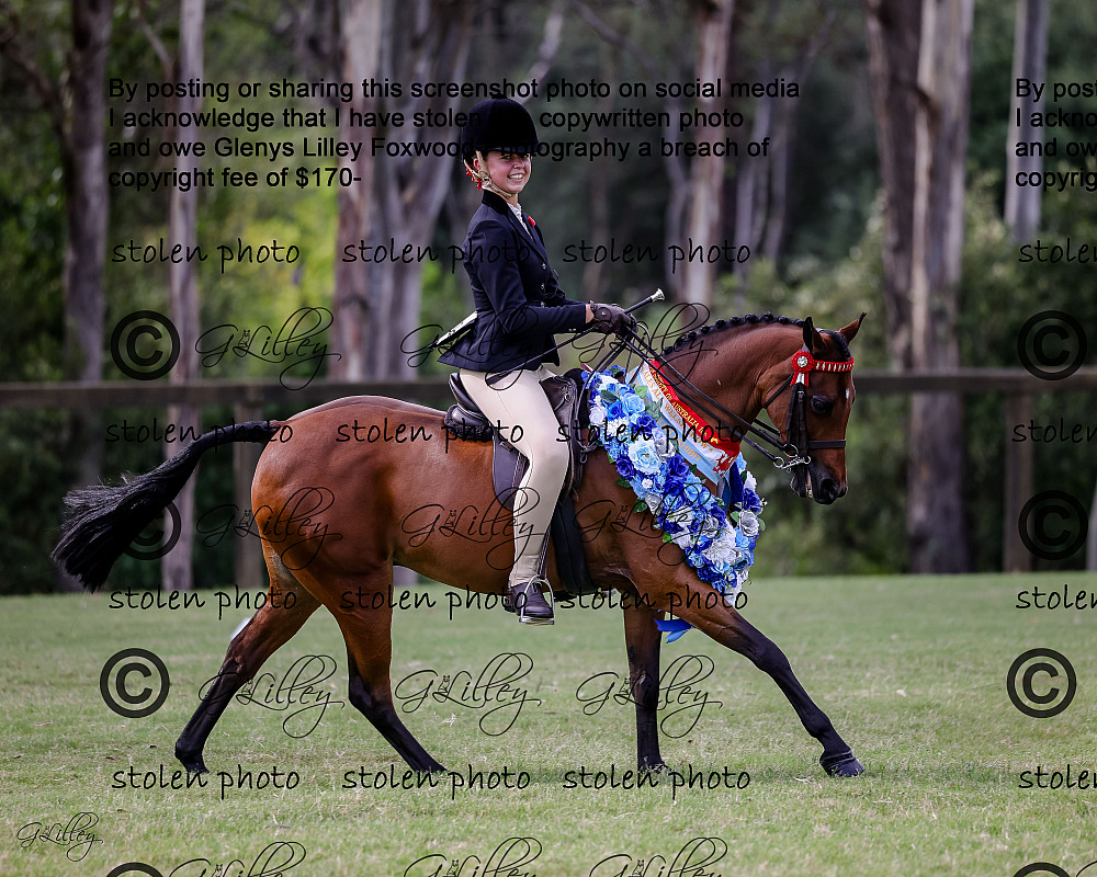 NSW ALL WELSH SUNDAY