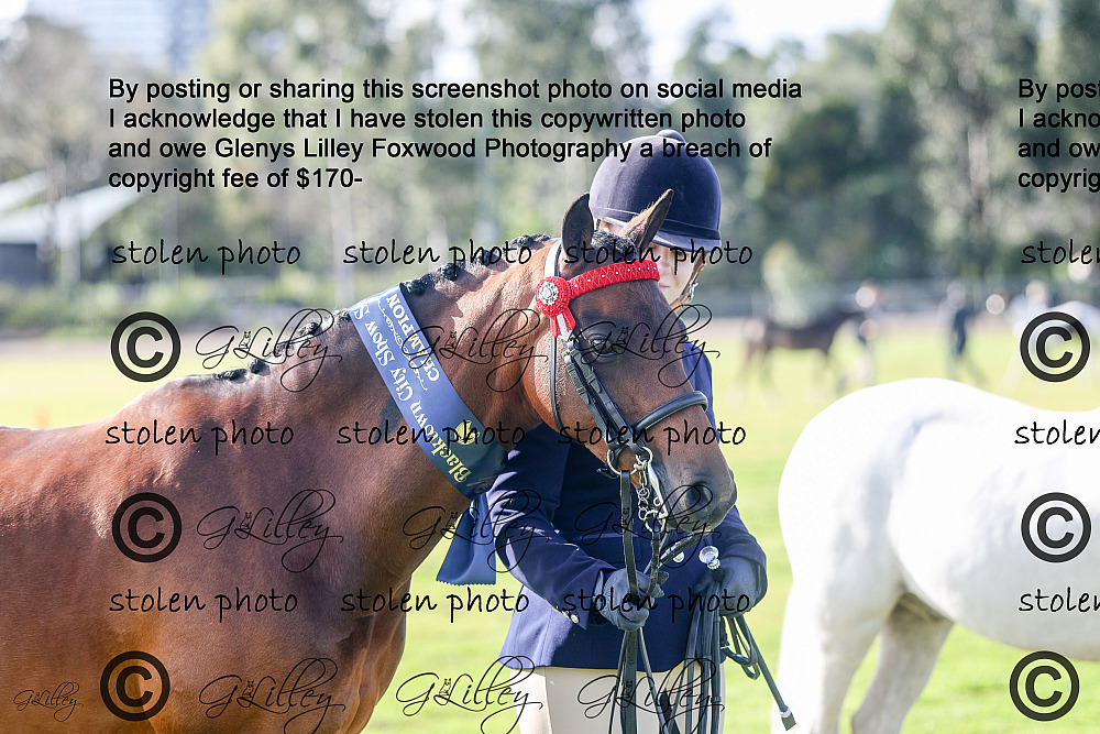 Glenys Photos Rings A,B,C,D,F and Supremes