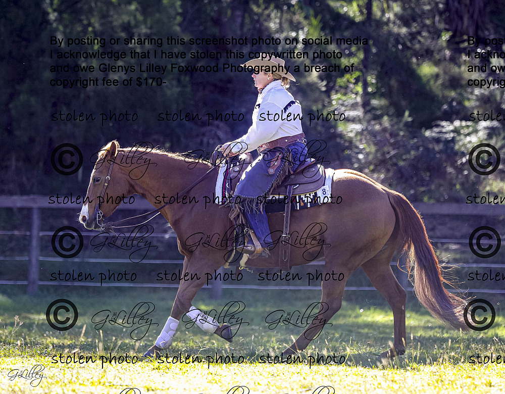 Photos