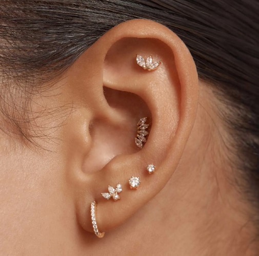 EZEEPC001 : Ear Piercing Course
