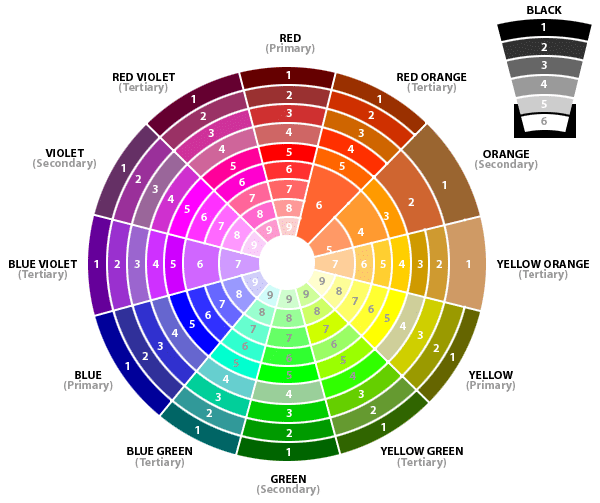 SHBBCOS002 - Apply Knowledge of Colour Theory and Pigmentology to Cosmetic Tattooing