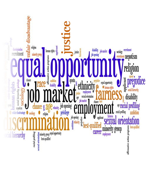 Online Equal Employment Opportunity for Employees Training