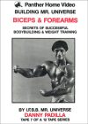 Danny Padilla Arms & Forearms Download