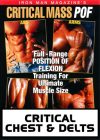 Iron Man's Critical Chest & Delts download