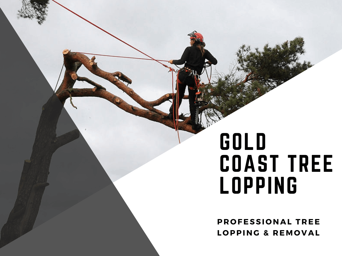 Gold Coast Tree Lopping