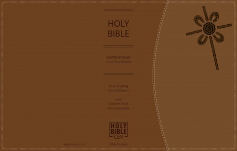Easy Reading Family Bible