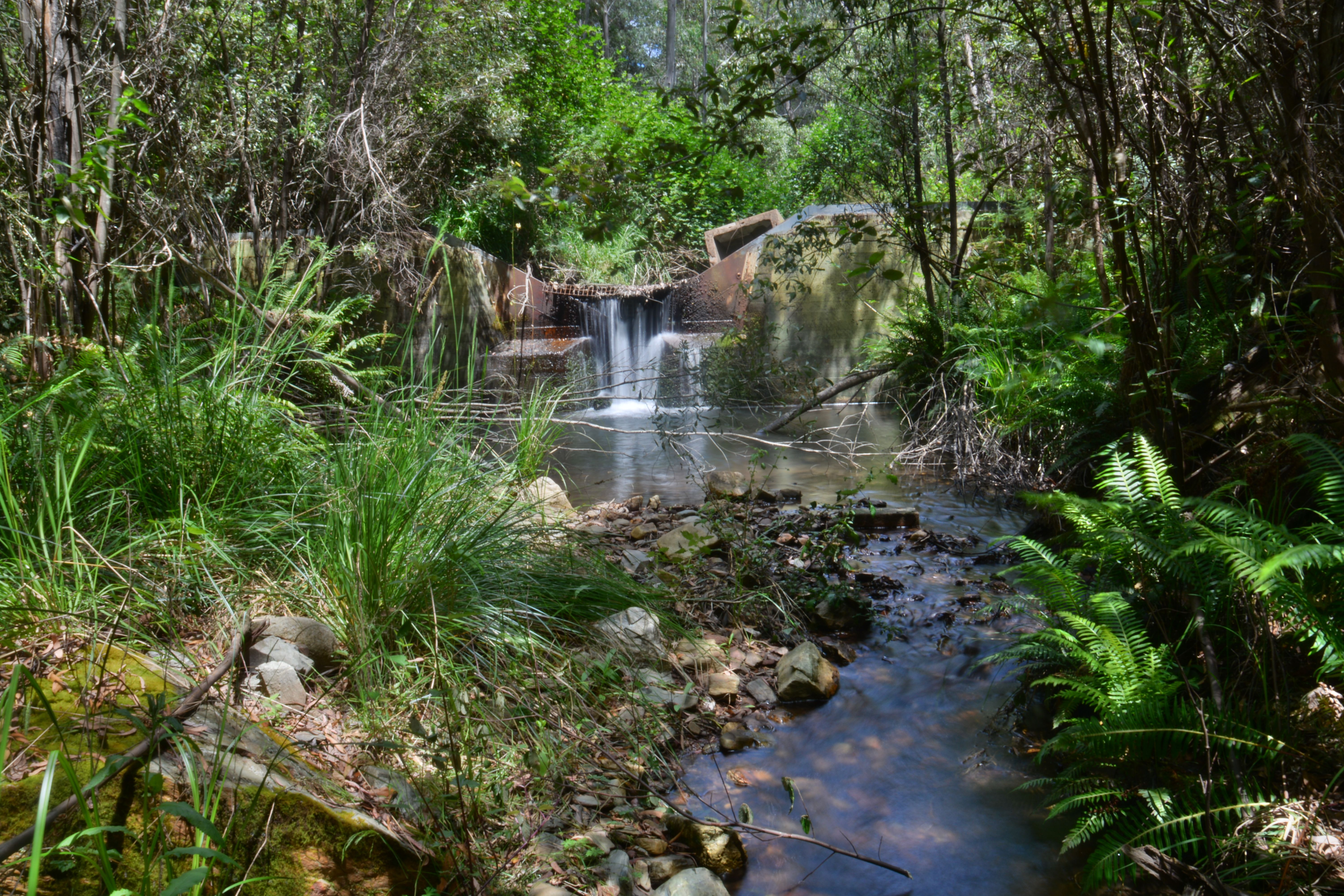 Lower Cotter Catchment Reserve Management Plan YourSay ACT