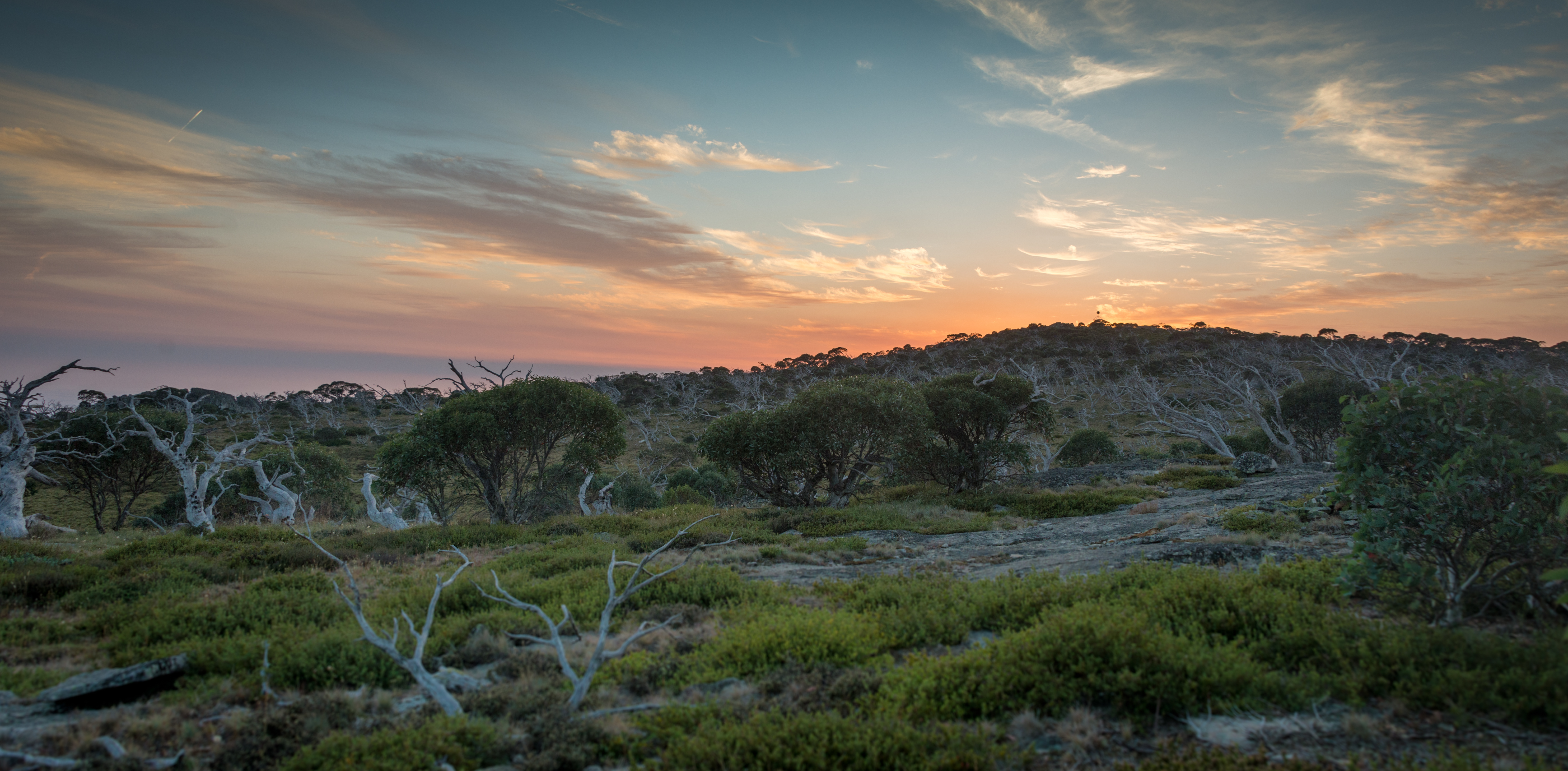 ACT Woodlands YourSay ACT