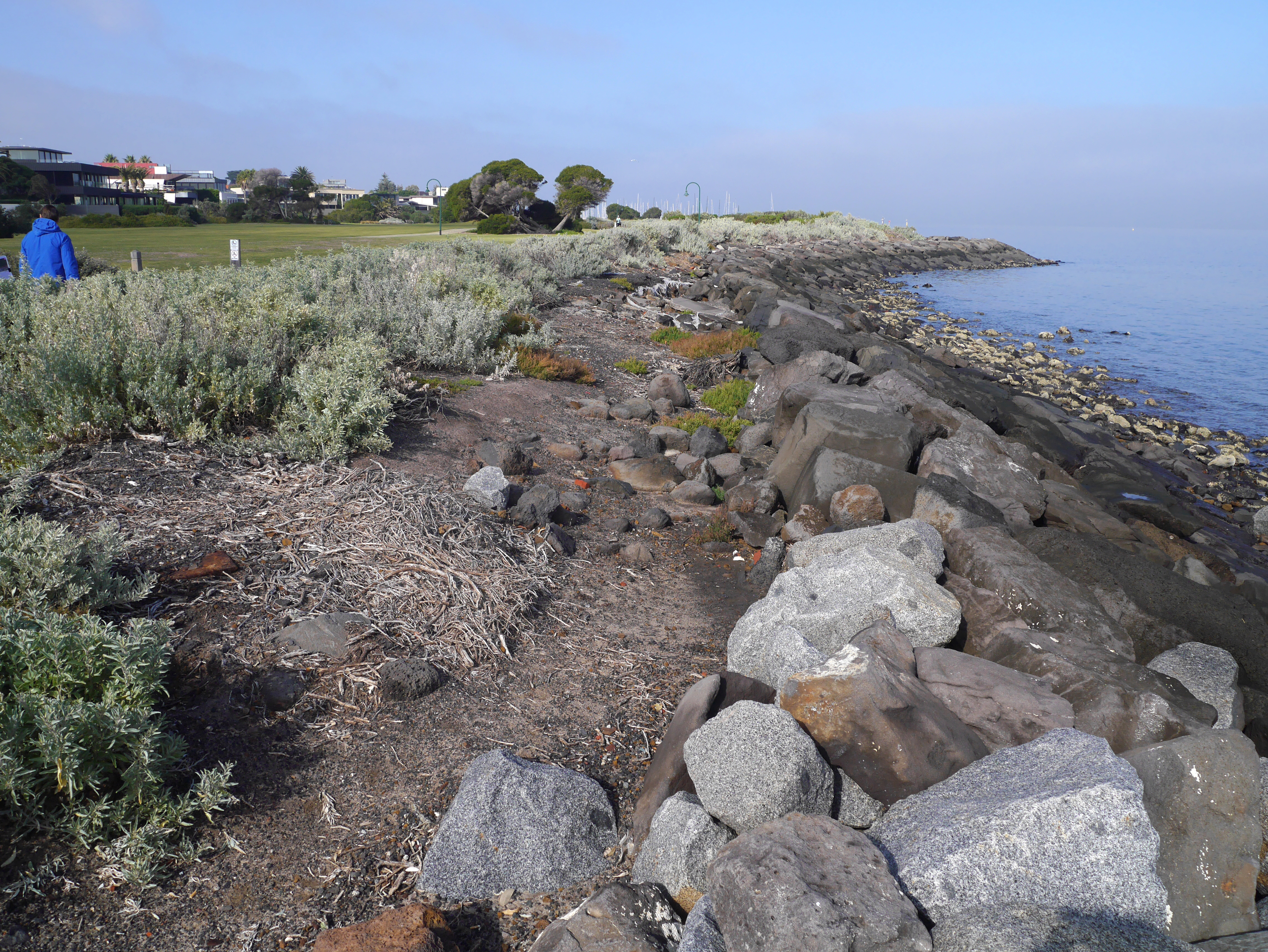 North Road Foreshore Seawall - Current