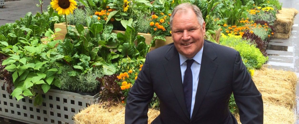LM_-_Town_Hall_veggie_patch.jpg