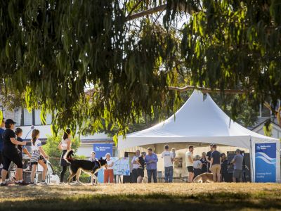 Community pop up event