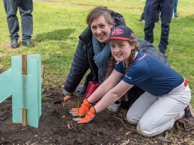 Local residents planting 