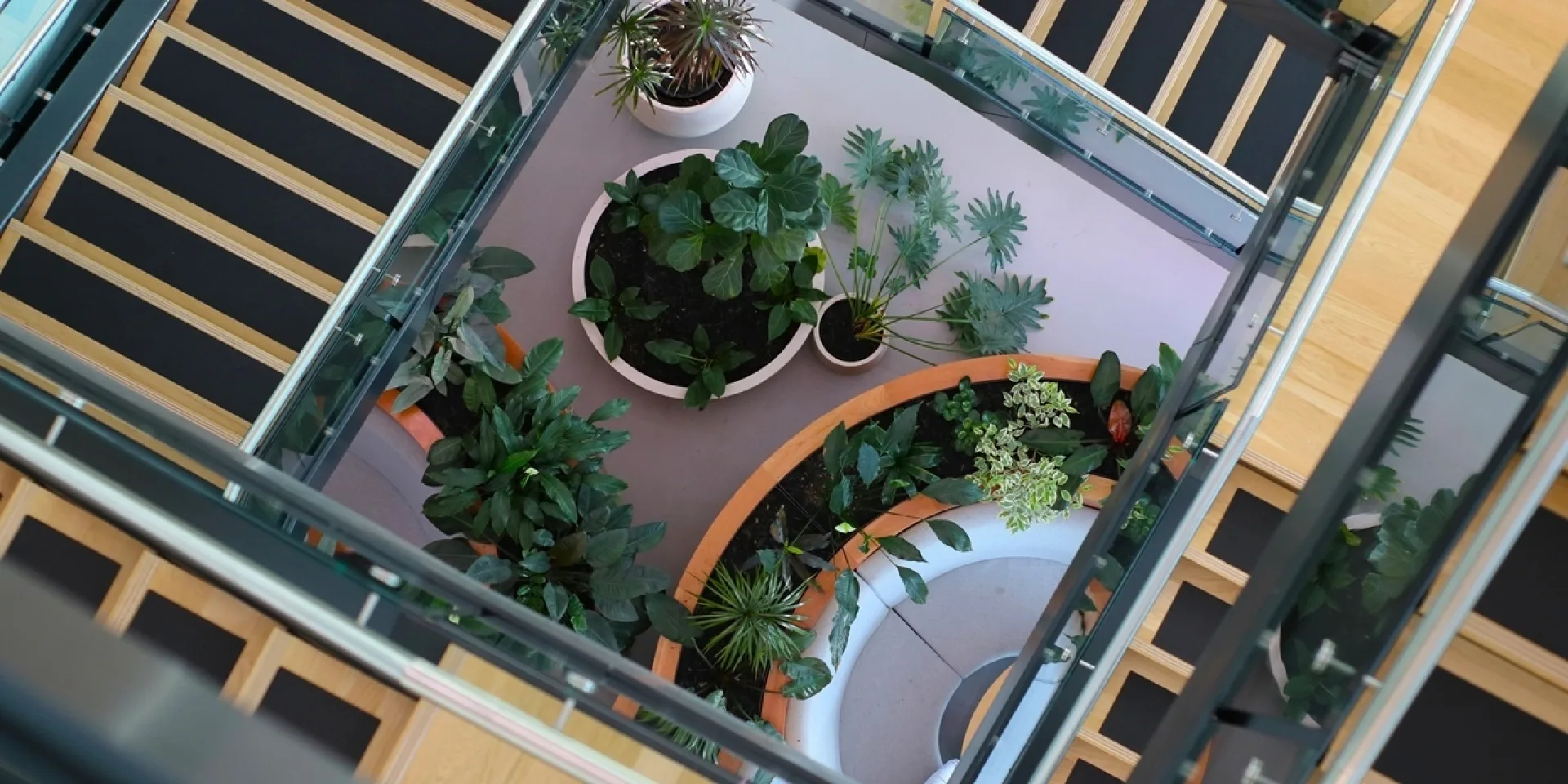 IGG IFP CBL Indoor inbuilt garden with mixed planting vero 08 23 3 Copy