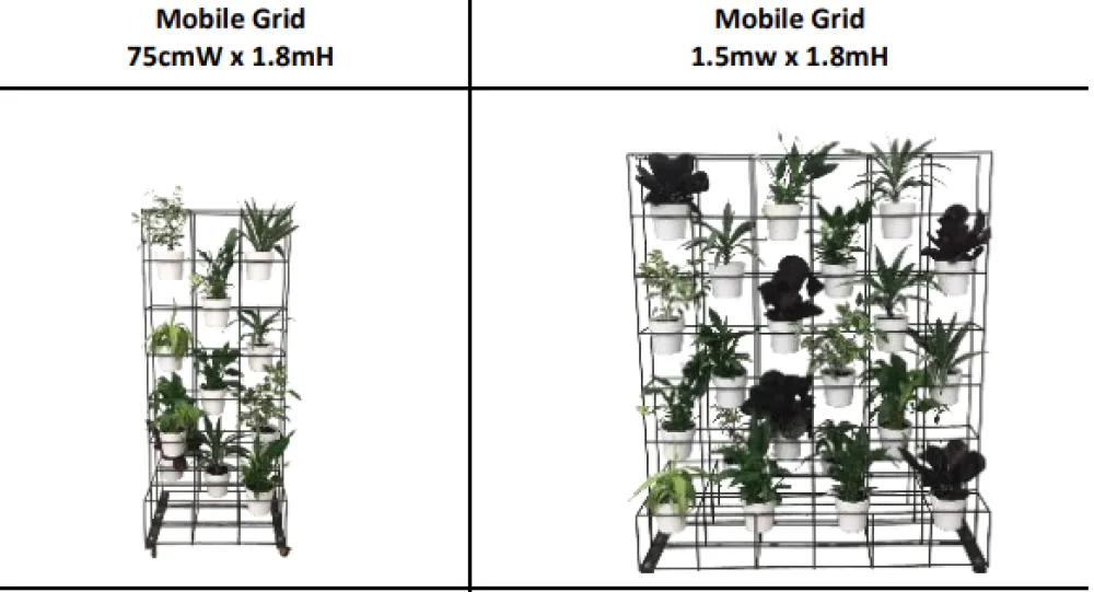 Event Grid Frames