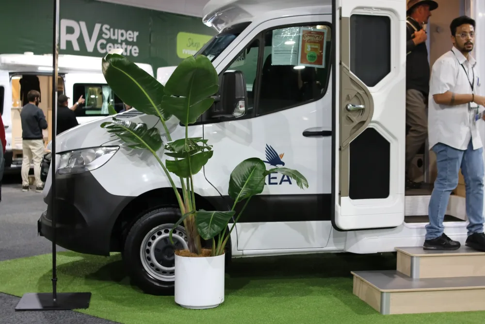 floor-standing plants