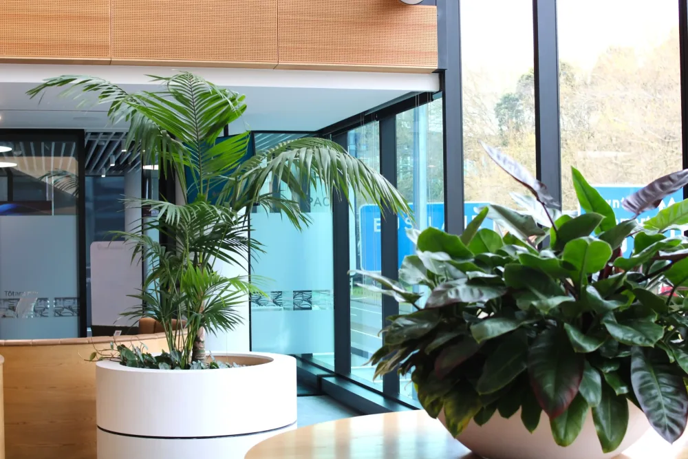 inbuilt indoor gardens