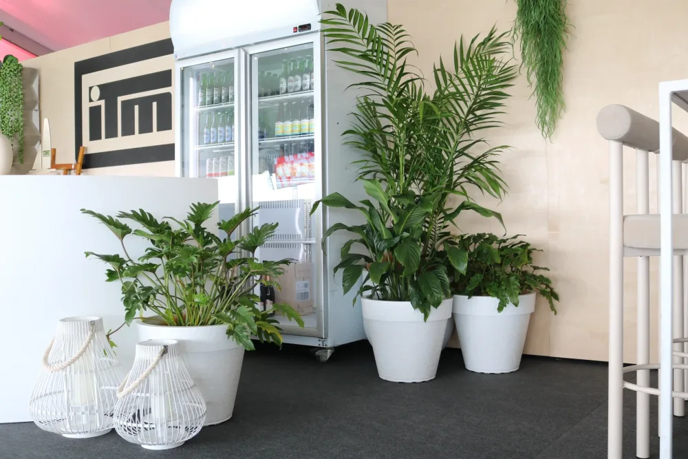 plant groupings + islands