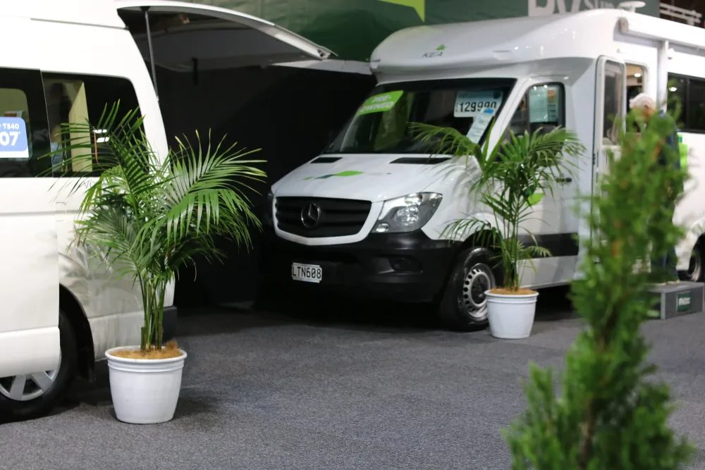 floor-standing plants