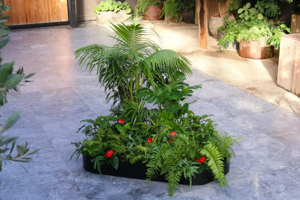plant groupings + islands