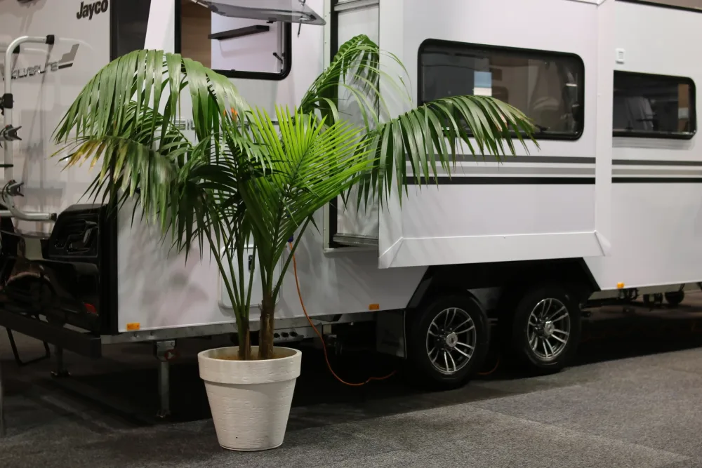 floor-standing plants
